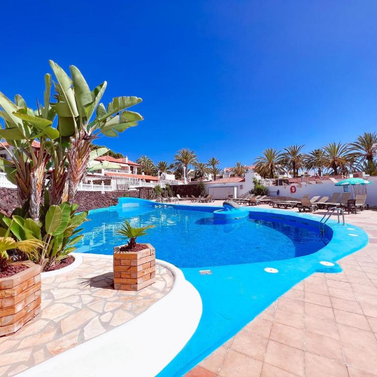 Studio In Paraiso Royal, Playa De Las Americas - Estudio - 67