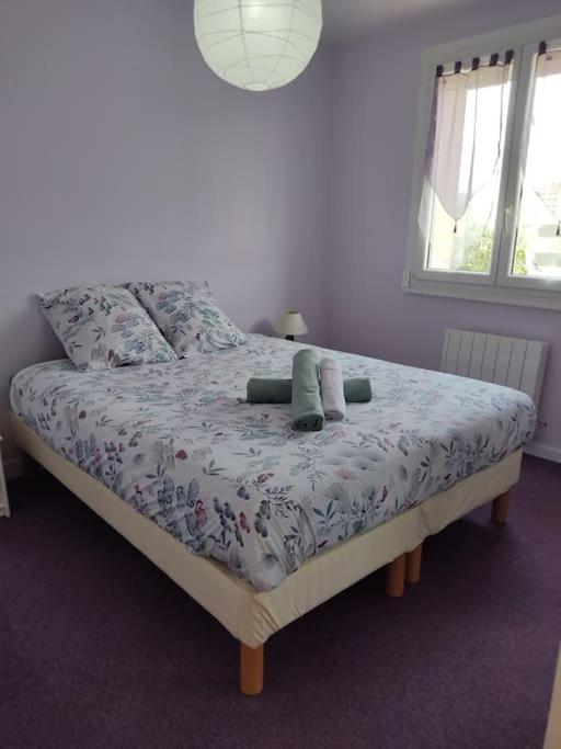 Entre Lac et Montagne - Appartamento con 2 Camere da Letto - 7