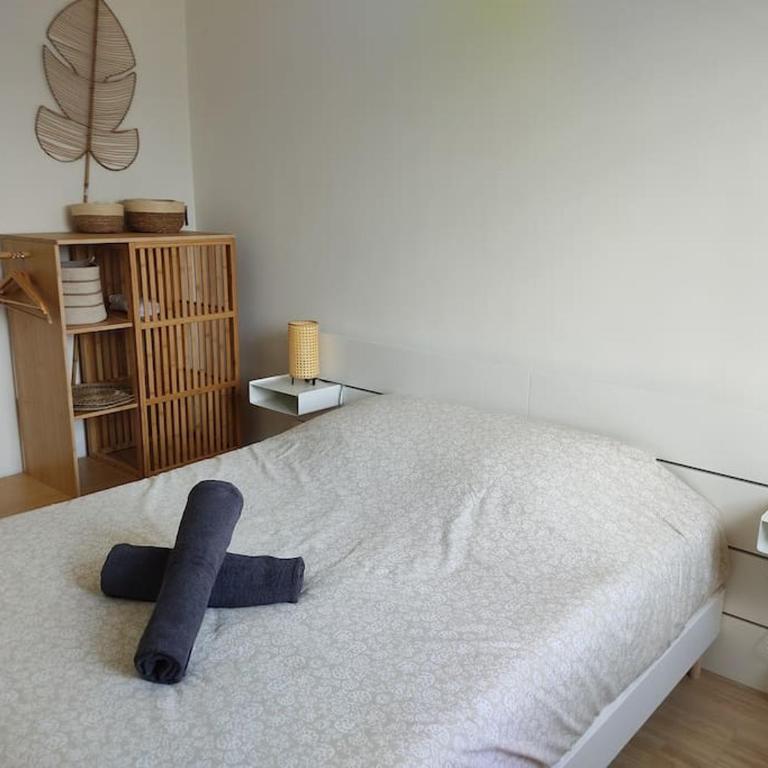 Entre Lac et Montagne - Appartamento con 2 Camere da Letto - 17