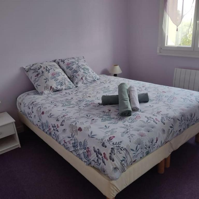 Entre Lac et Montagne - Appartamento con 2 Camere da Letto - 22
