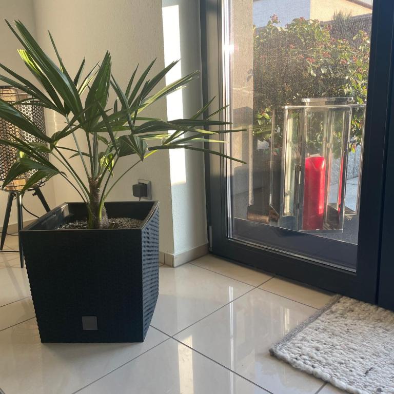 4-Sterne Ferienwohnung Krill - Apartment mit 1 Schlafzimmer - 16