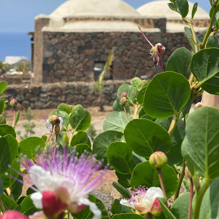 Kirani Resort - Monolocale con Vista Mare - 6