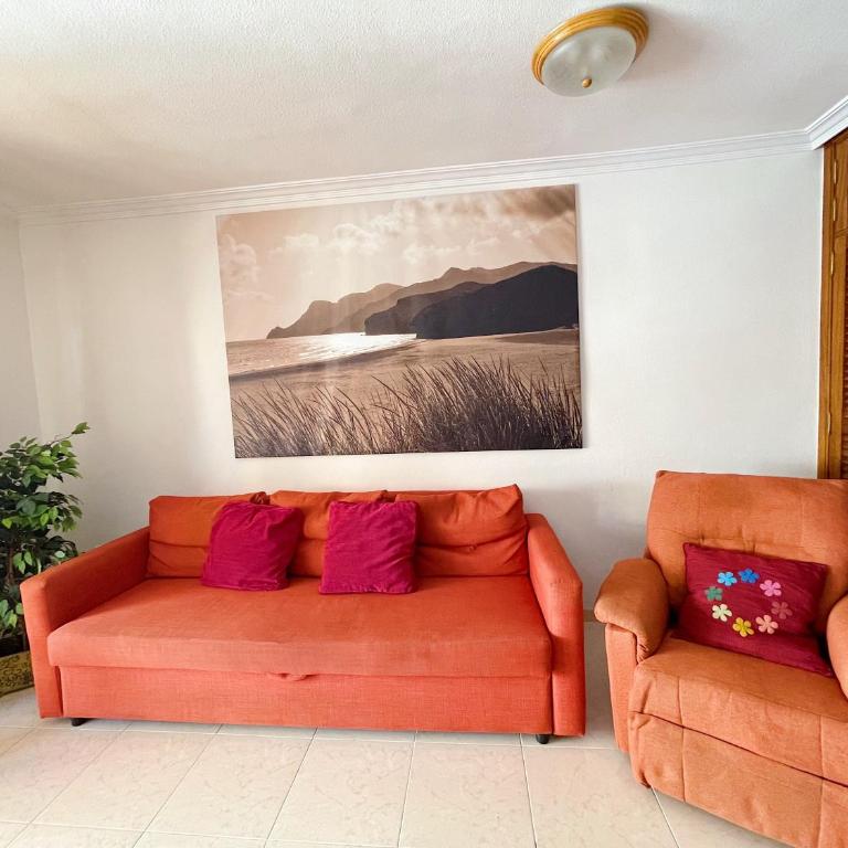 Edificio Don Antonio - Apartamento con terraza - 4
