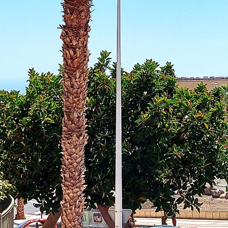 Adeje House, 1 bedroom wifi free - Apartamento de 1 dormitorio - 13
