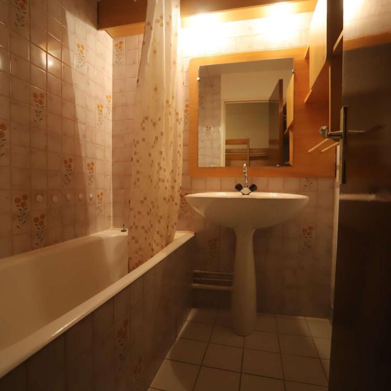 Studio cabine 4 pers au pied des pistes avec balcon - Auris en Oisans - FR-1-297-331 - Apartment - 6