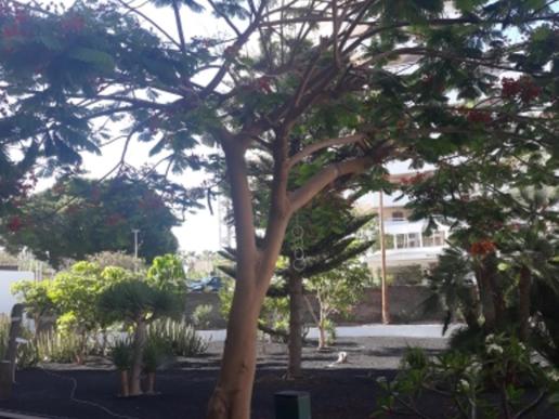 OCEAN VIEW, WIFI FREE, PLAYA LAS AMERICAS - Apartamento de 1 dormitorio - 19