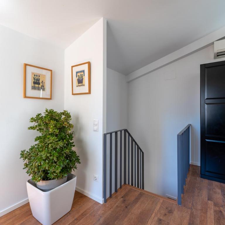 Apartamento Sant Josep 11 by costablancarent - Apartamento de 1 dormitorio - 18