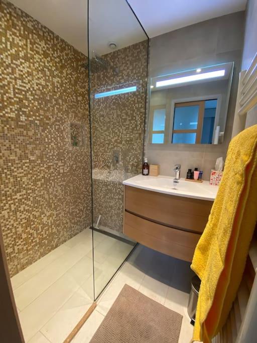 Appt Standing StTropez terrasse Piscine Parking - Apartamento de 1 dormitorio - 14