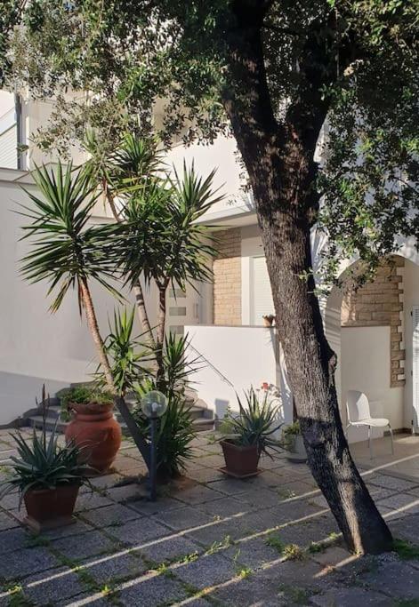 Lecci al Mare - Appartamento con 2 Camere da Letto - 1