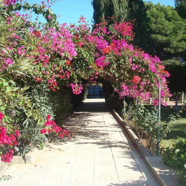 Cortijo EL LLANO - Villa con piscina privada - 23