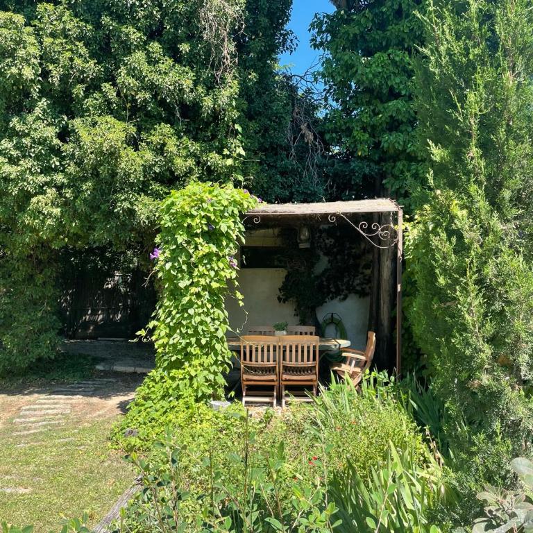 Gîtes charme avec piscine Arles - Camargue - Alpilles - Appartement 2 Chambres - 16