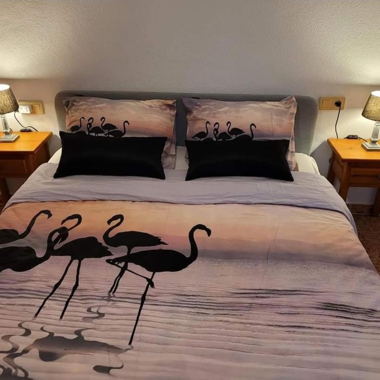 Casa Danas - Two-Bedroom House - 4