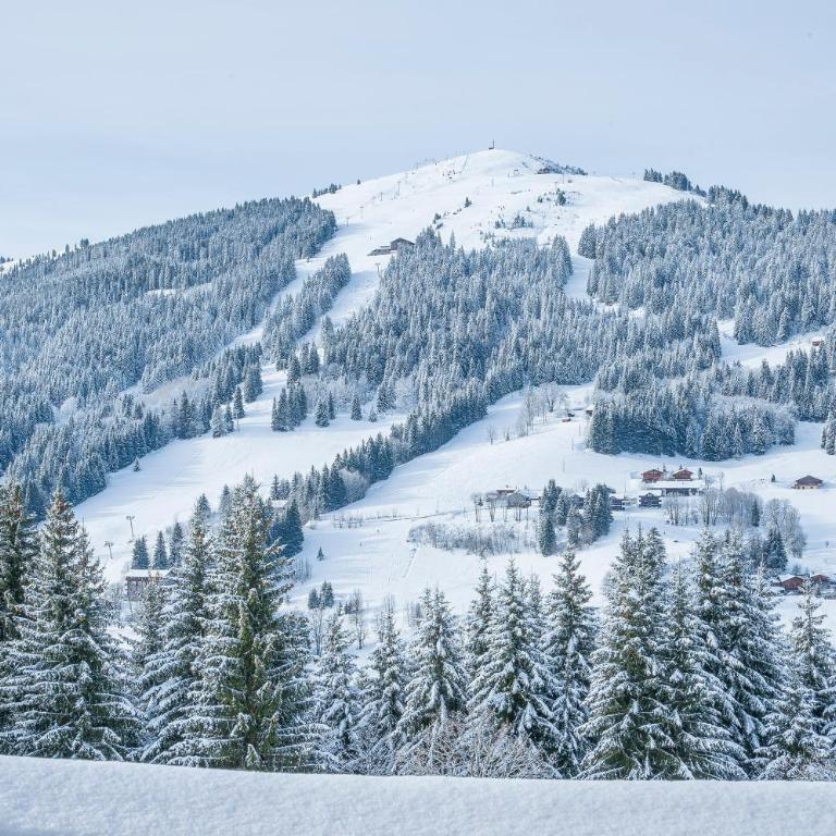 Chalet Le Lapye - Chalet - 25