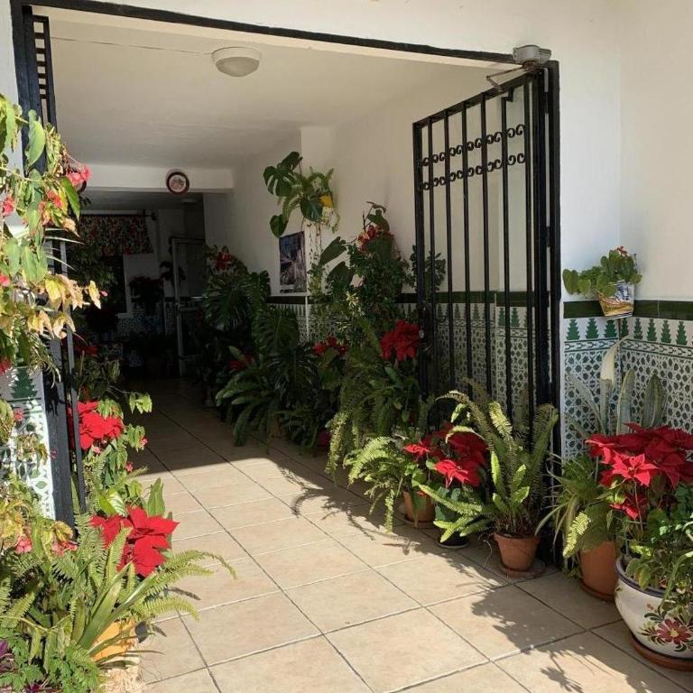 Hawaii 1st floor Burriana, Nerja - Apartamento de 2 dormitorios - 23