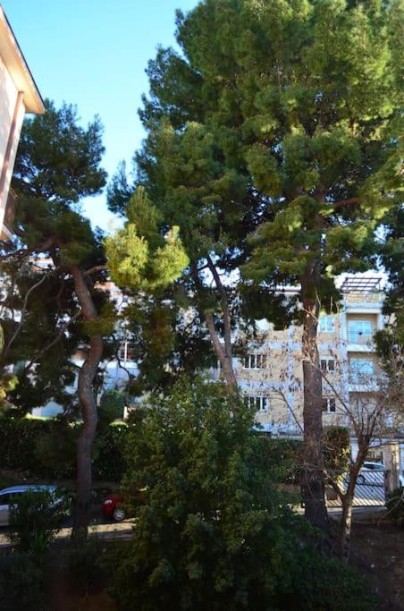 Belvedere di Ancona - Appartamento con 2 Camere da Letto - 46