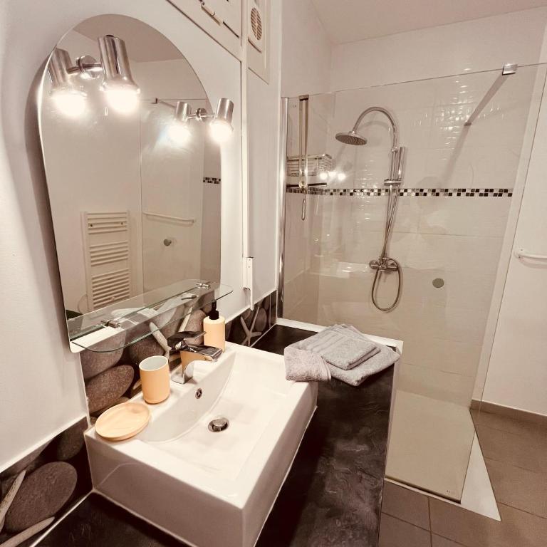 Superbe T2 avec place de parking - Appartement 1 Chambre - 12