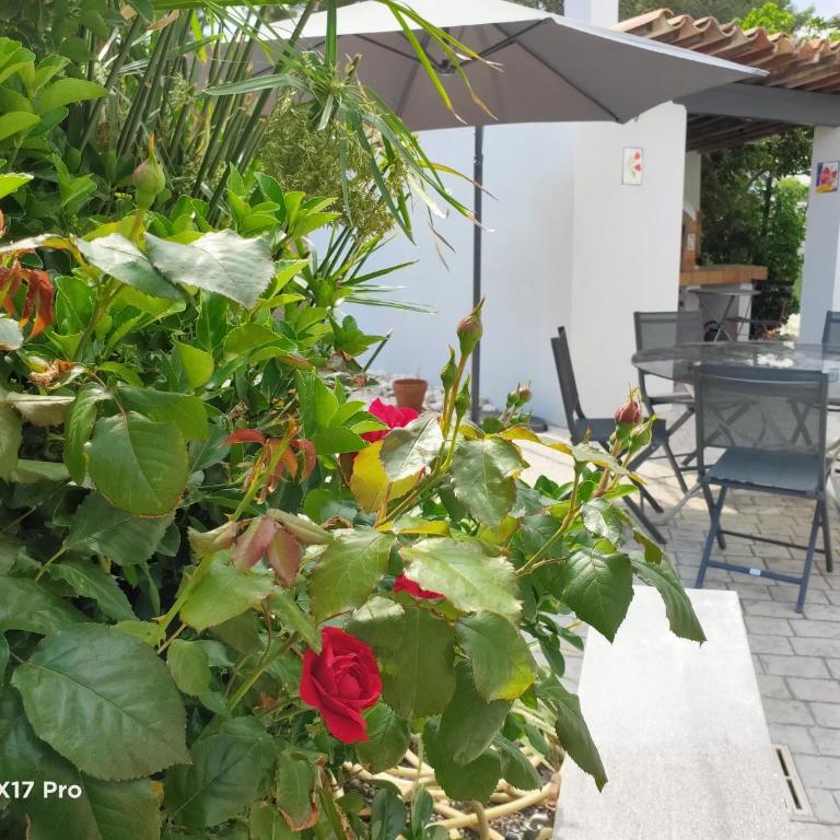 Lavocette maison appartement - Appartamento - Piano Terra - 17