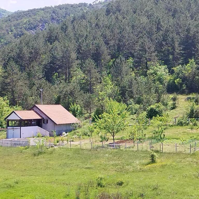 Trebinje - Vikendica Vukovic - Kuća sa 1 Spavaćom Sobom - 15