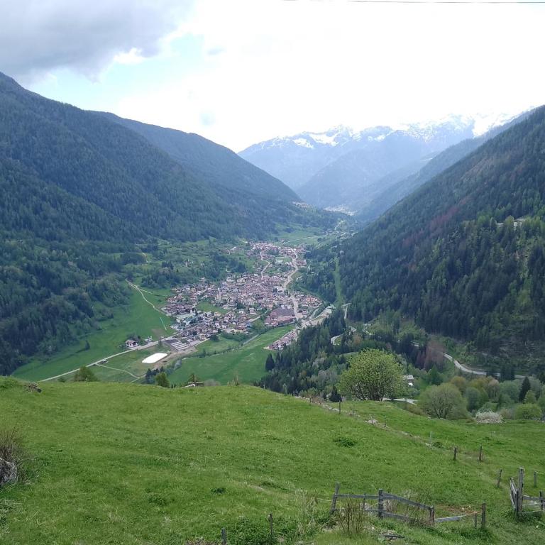 Un balcone sulla Val di Pejo - Haus mit 2 Schlafzimmern - 4