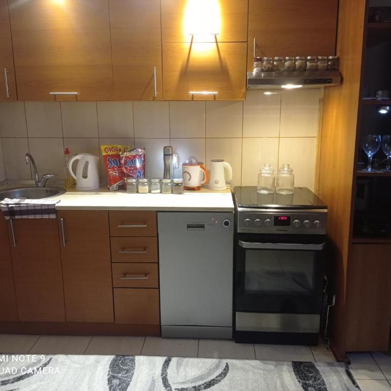 Apartman Simović, Vrnjačka Banja - Apartman sa 1 Spavaćom Sobom - 12