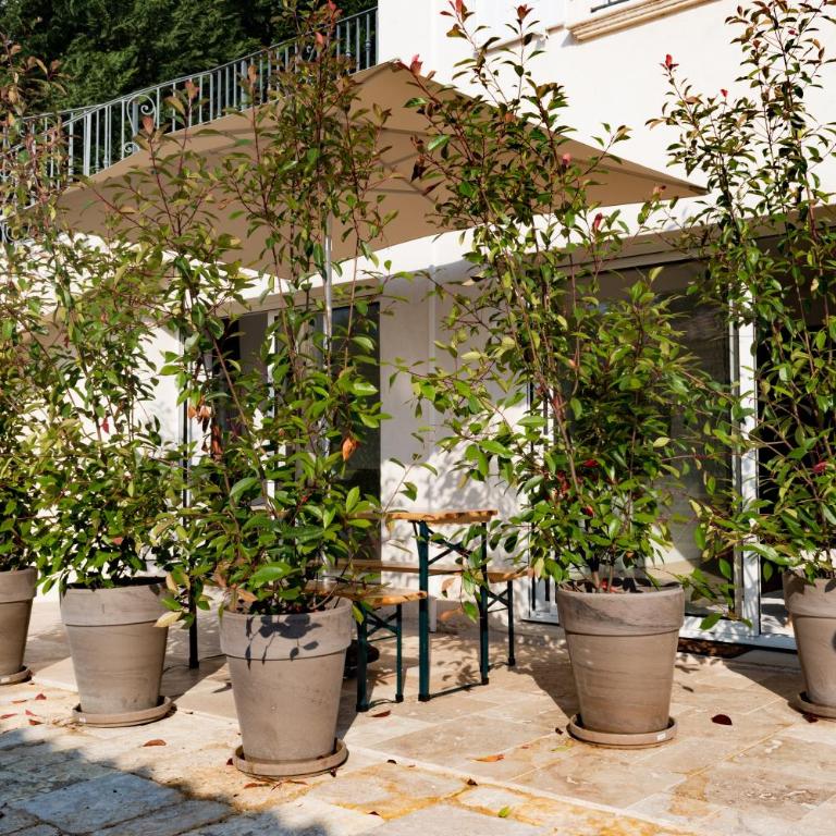 Appartement Villa d'Aurore - Superior Apartment - 1