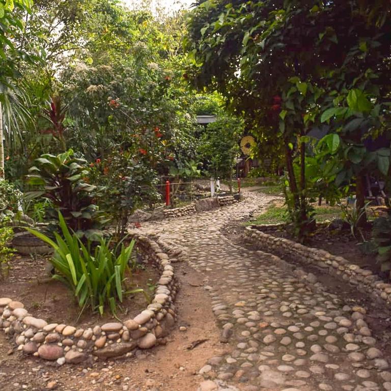 Hostal Caño Nevera - Single Room - 4