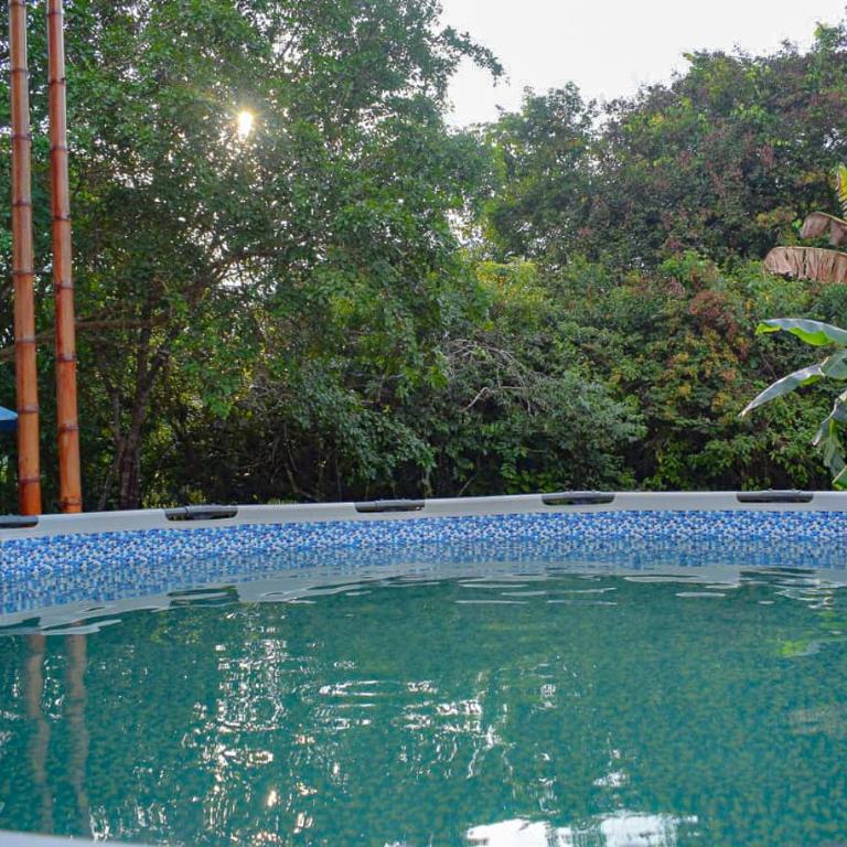 Hostal Caño Nevera - Single Room - 6
