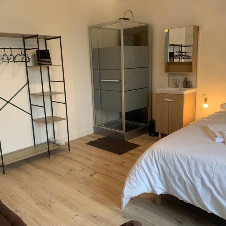 Spacieux Duplex centre Tours et bord du Cher Loire Valley - Appartamento - 3