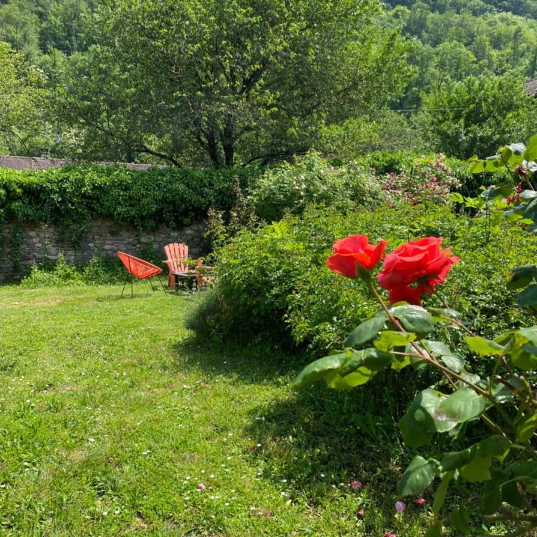 La Sallandière - Gîte et table d'hôtes avec Jacuzzi en Isère, près des passerelles himalayennes du lac de Monteynard - Maison 4 Chambres - 22