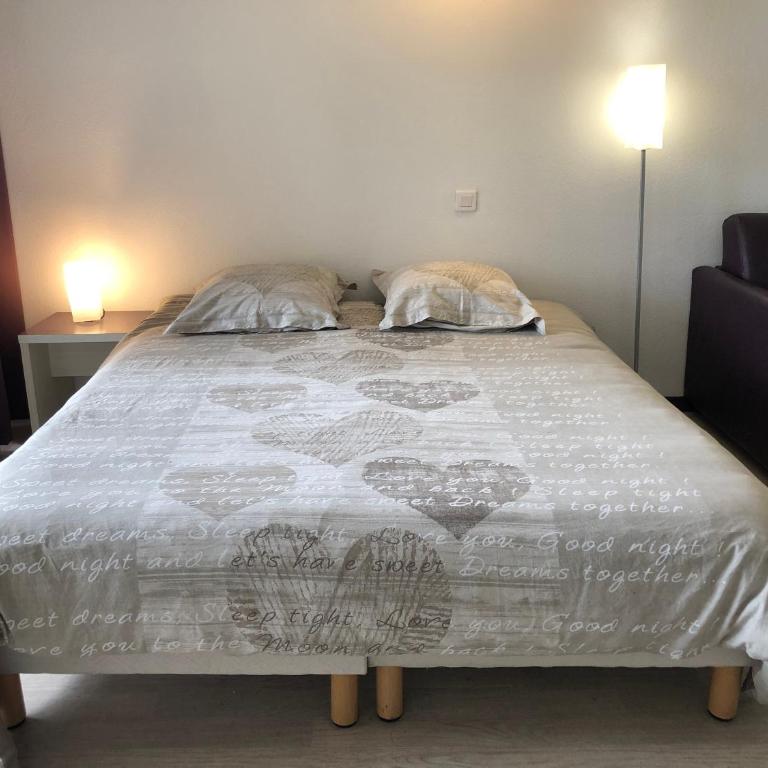 Appart LOURDES 100 m GARE - 4 Places avec Balcon 10mn Sanctuaire - Appartement 1 Chambre - 4