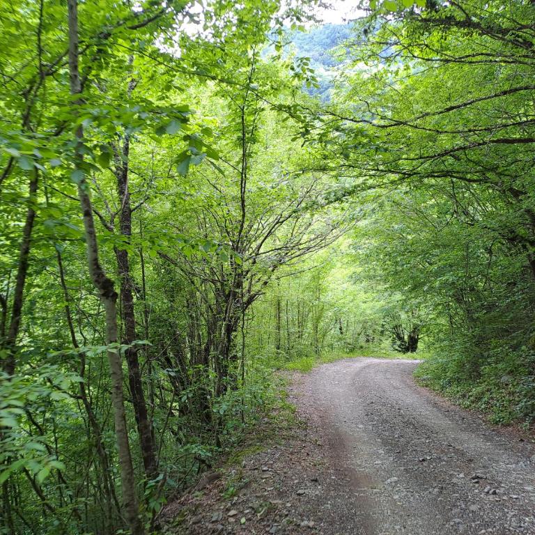 Ljuta Village - Kuća sa 2 Spavaće Sobe - 16
