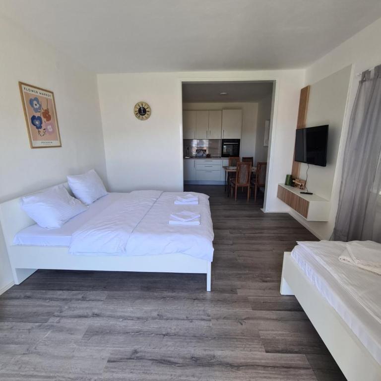 Vizura - Apartman sa 1 Spavaćom Sobom - 17