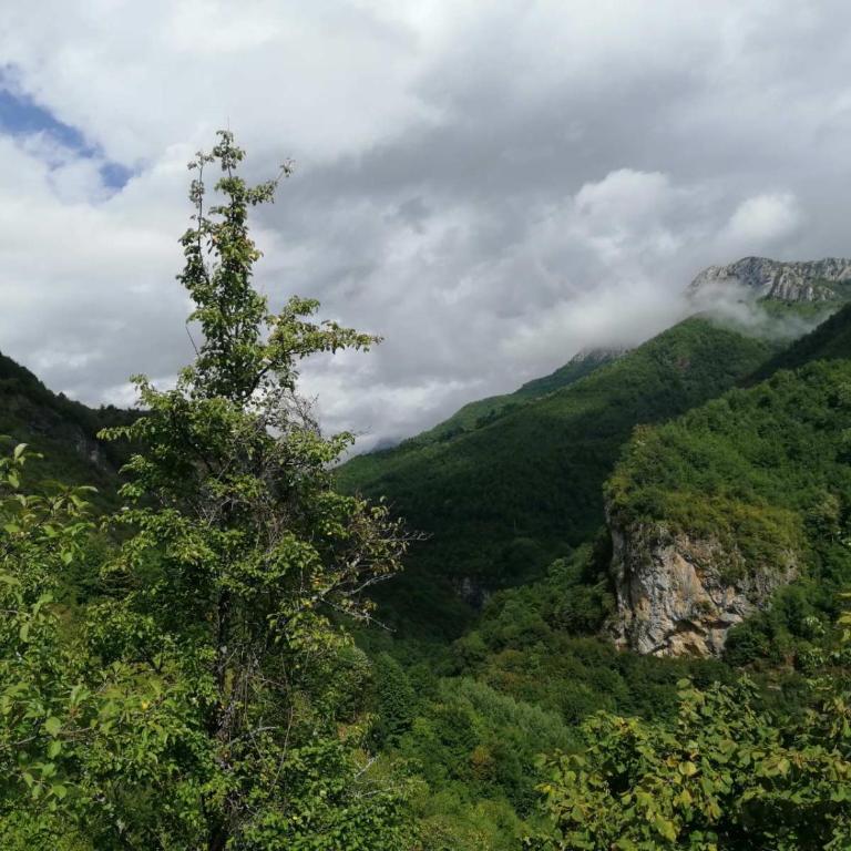 Ljuta Village - Kuća sa 2 Spavaće Sobe - 13
