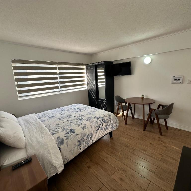 TinyApartments - estudio pleno centro Concepción - Estudio - 18