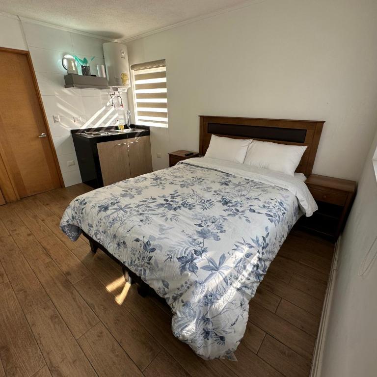 TinyApartments - estudio pleno centro Concepción - Estudio - 20