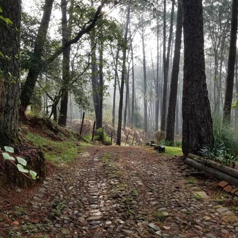Cabaña rustica a 1km de cascada - Chalet de 3 dormitorios - 21