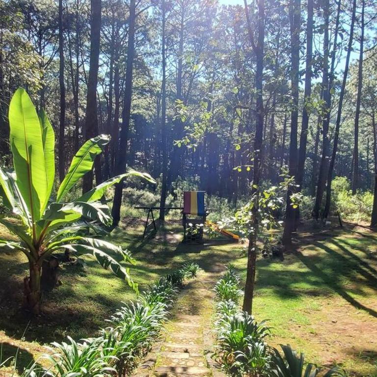 Cabaña rustica a 1km de cascada - Chalet de 3 dormitorios - 33