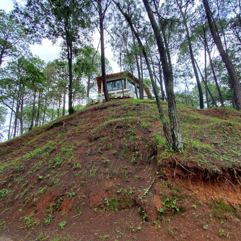 Villa Fantasía a 15 min a pie de cascada - Chalet - 33