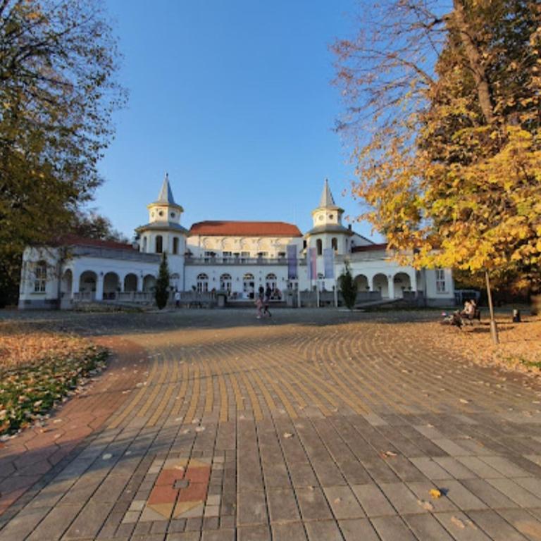 Ljuba - Apartman sa 1 Spavaćom Sobom - 12