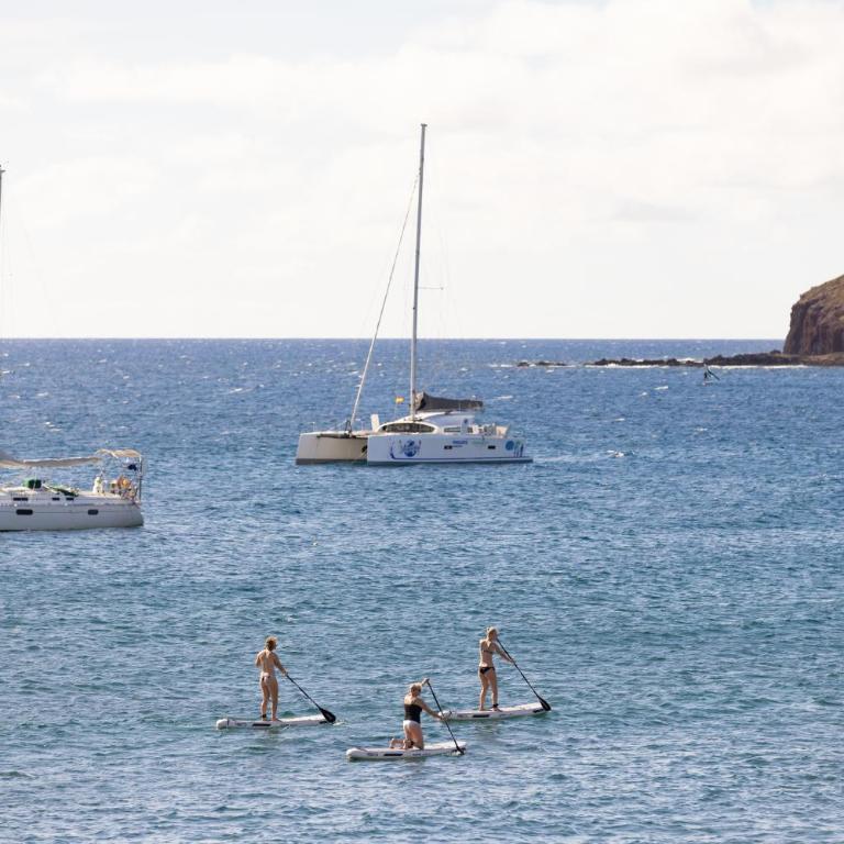 Medano Seaview Penthouse CASA CORINA III - Apartamento - 45