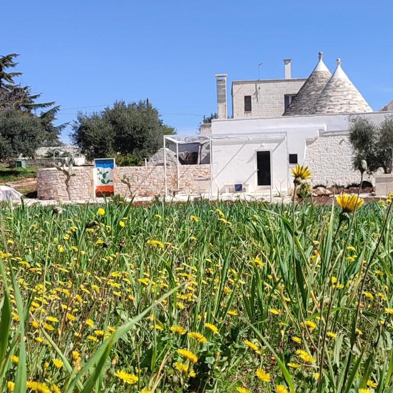 Trulli Abate Mauro - Casa con 2 Camere da Letto - 25