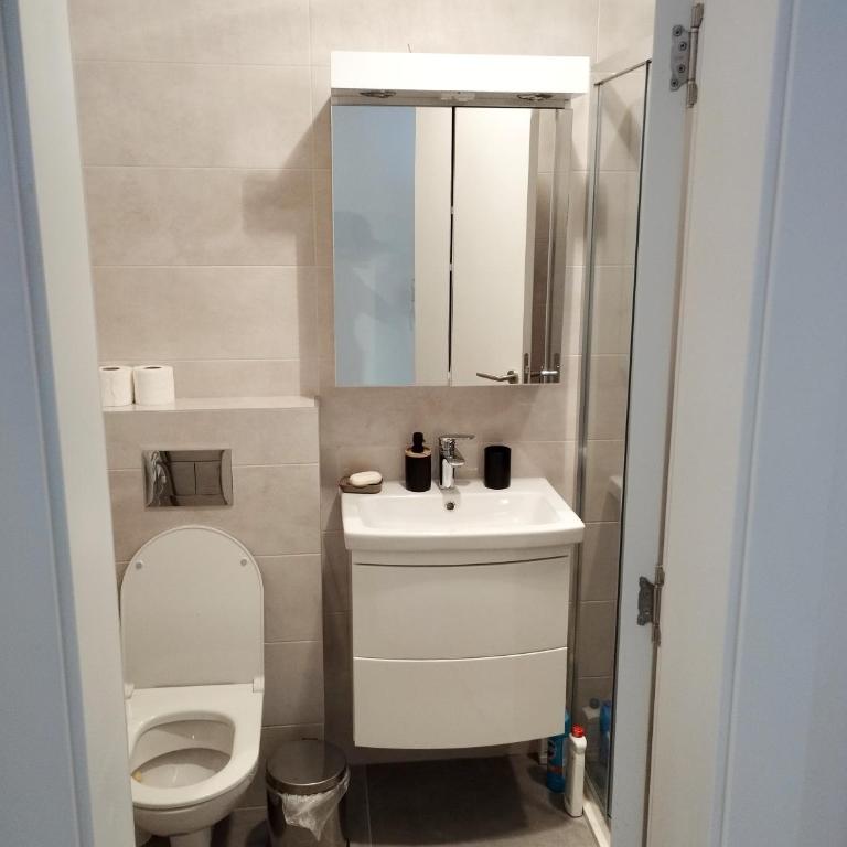 Apartment Dream - Apartman sa 1 Spavaćom Sobom - 10