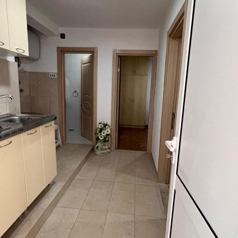 Aleksija i Atanasija - Apartman sa 2 Spavaće Sobe - 7