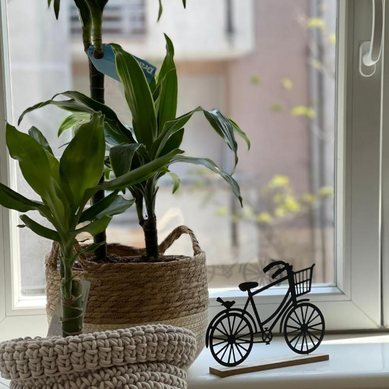 Apartment Ema - Apartman sa 2 Spavaće Sobe - 10