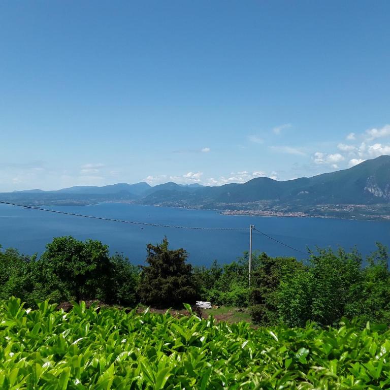 Residence Spighetta 2 - Appartement 2 Chambres - Vue sur Lac - 3