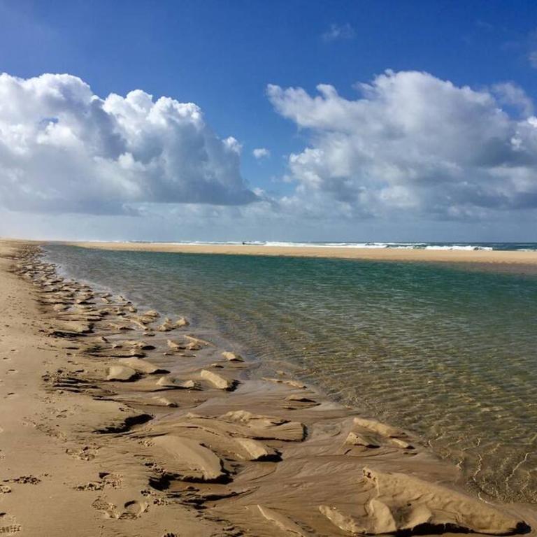 Bel appartement 4 personnes en front de mer - One-Bedroom Apartment - 3