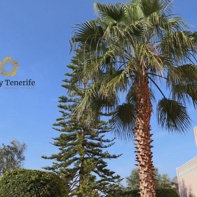 California Relax ALICE I POOL VIEW - Apartamento - 52