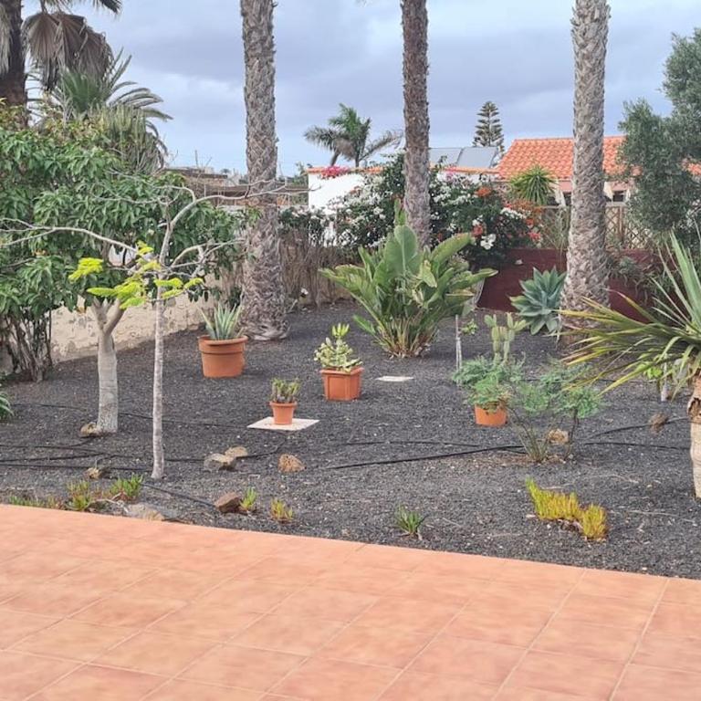 Doce Palmeras, stunning villa in beautiful gardens - Villa - 8