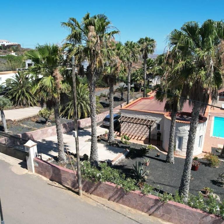 Doce Palmeras, stunning villa in beautiful gardens - Villa - 12