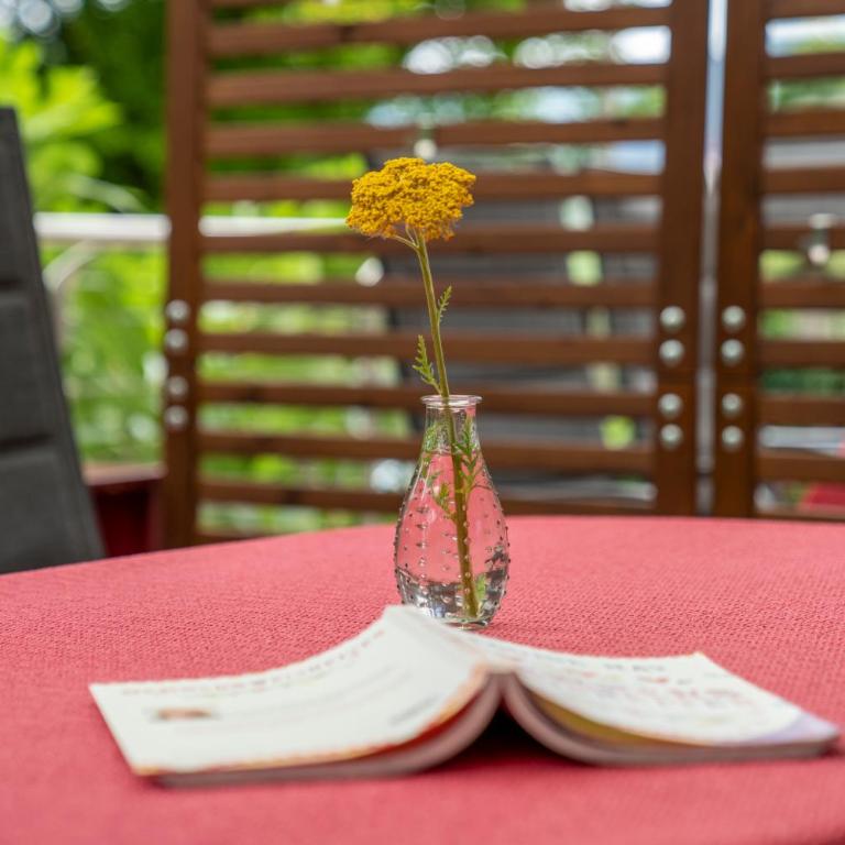 Apartments im Garten - Haus Daniela - Apartment mit 1 Schlafzimmer - 11